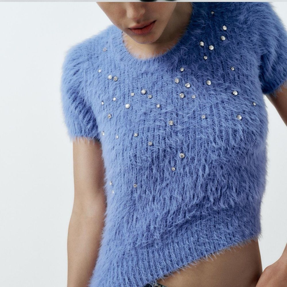 Zara faux fur jewel sweater